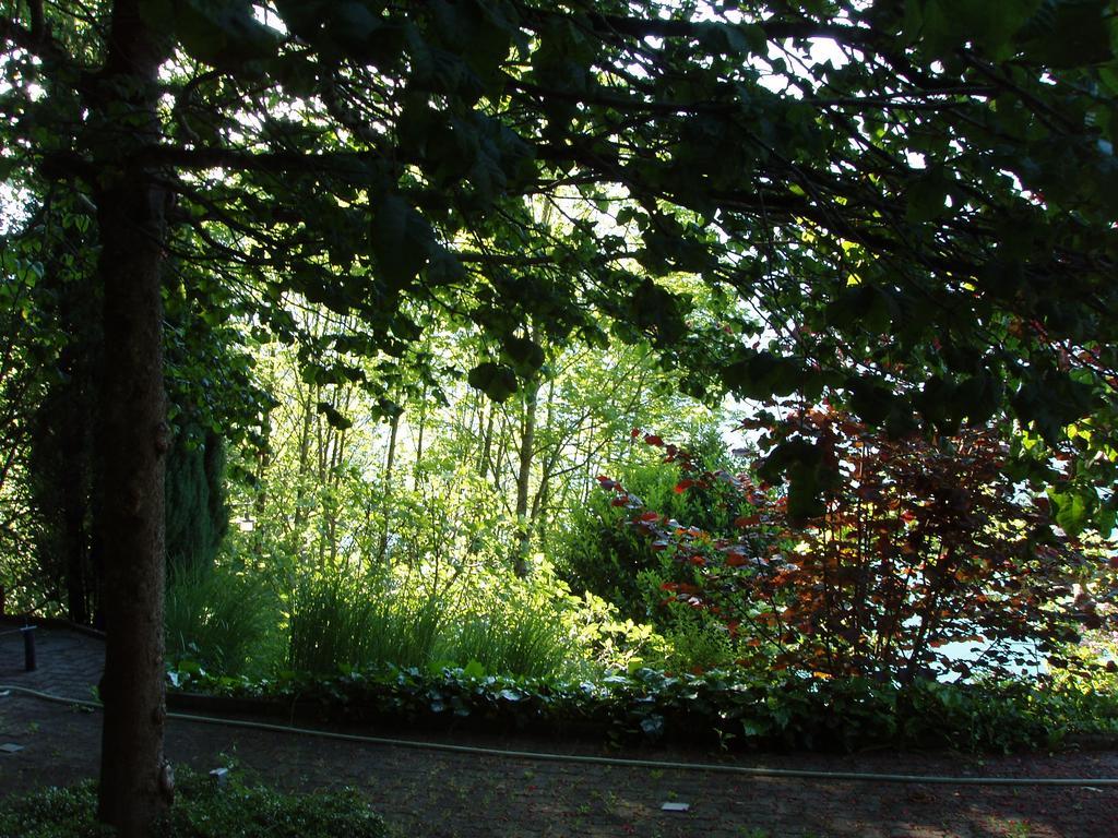 Ferienwohnung Selinda Niederried bei Interlaken ภายนอก รูปภาพ